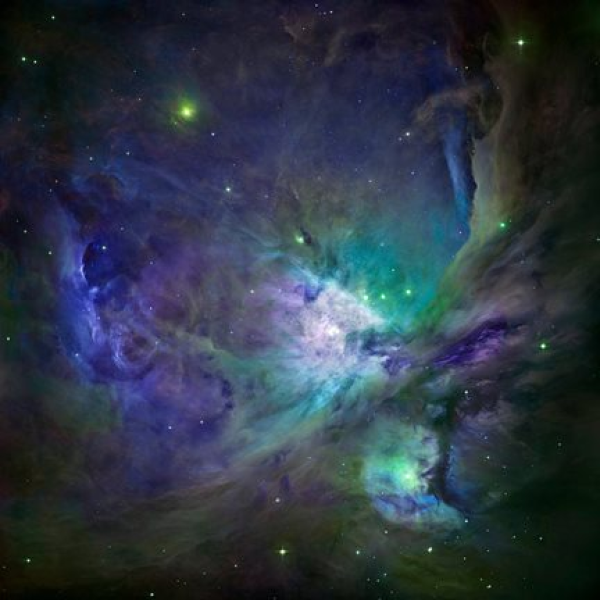 Exploring Field Consciousness